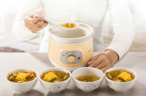 电炖锅品牌十大排行，什么牌子的电炖锅比较好