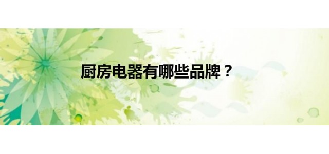 厨房电器有哪些品牌？