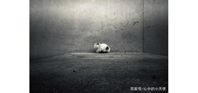 关于现代的「未来自闭症」，专家怎么说？